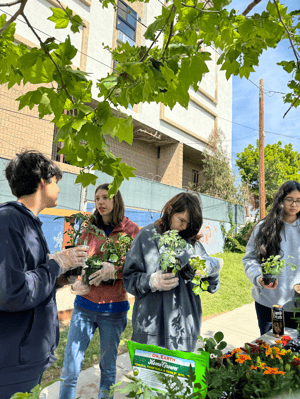 IVA students picking up plants and getting to plant them in raised beds in IVA High backyard.